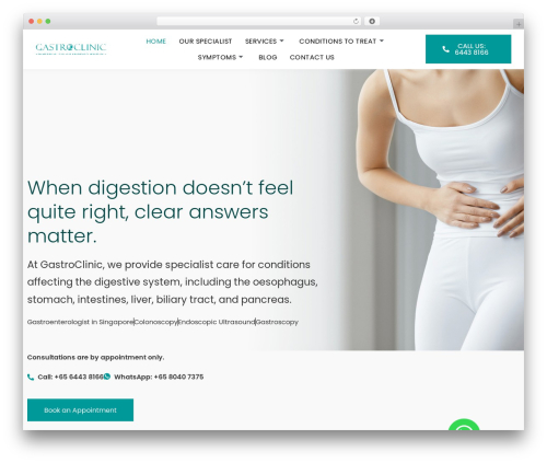 Bne navbar WordPress plugin - gastroclinic.com.sg