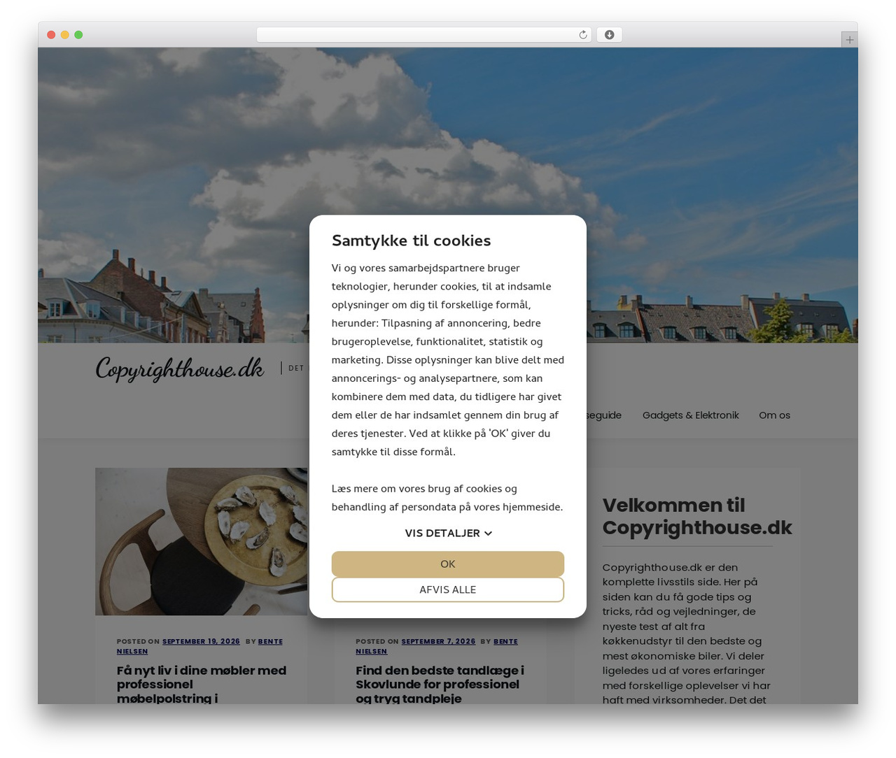 Amazorize WordPress theme - copyrighthouse.dk