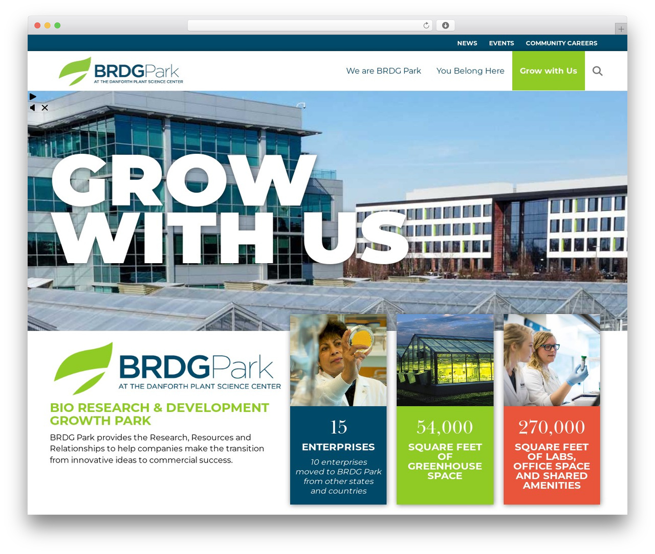Beaver Builder Theme WP theme - brdgpark.com