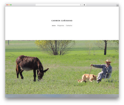 Bm shortcodes WordPress plugin - carmencanibano.net