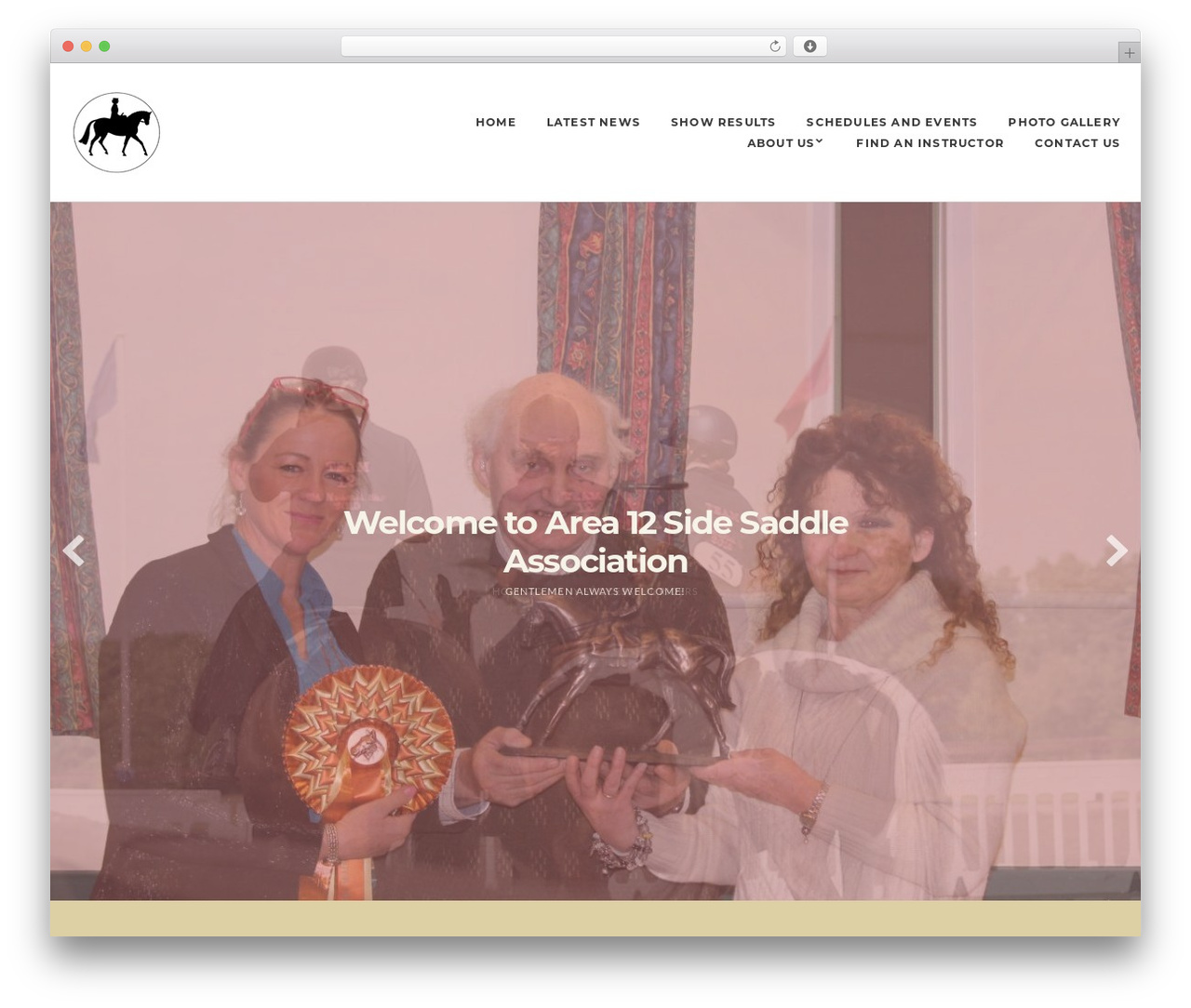 WordPress theme Roxima - area12ssa.co.uk