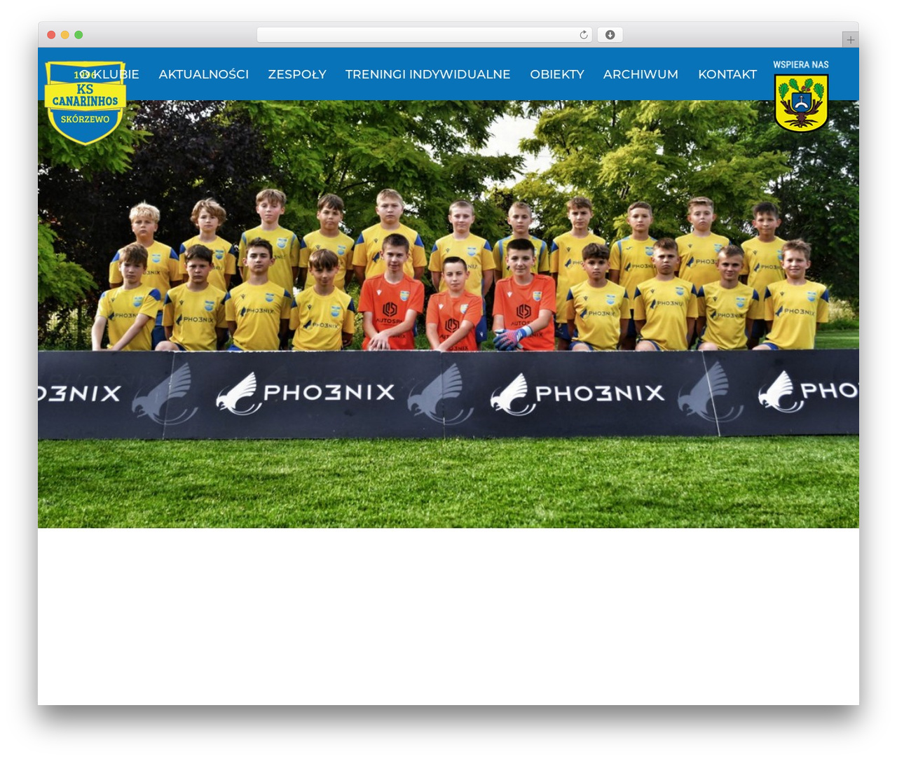 WordPress website theme Kinght Theme - canarinhosskorzewo.pl WordPress website theme Kinght Theme - canarinhosskorzewo.pl