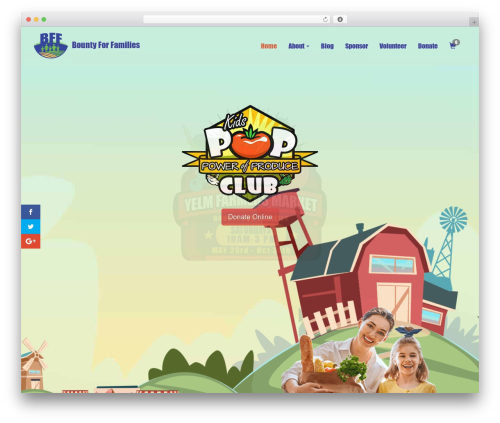 WordPress website theme Subtheme - bountyforfamilies.org