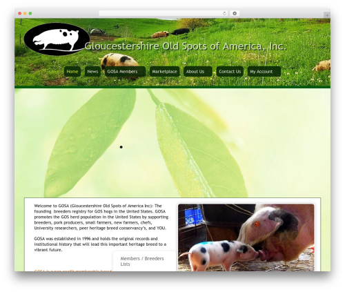 Themify Popup (themify-popup) free WordPress plugin - gosamerica.org
