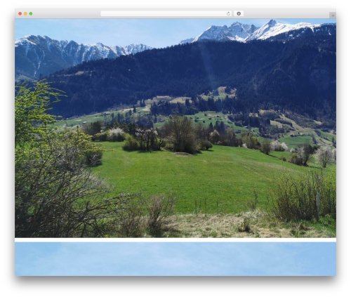 wpdraft WordPress theme - solvida.ch
