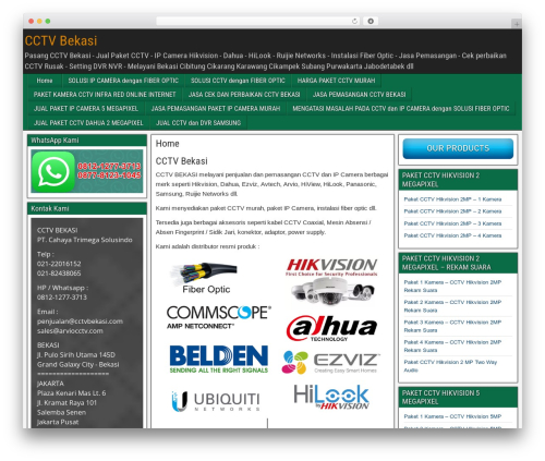 Easy Customizable Text Widget (easy-customizable-text-widget) free WordPress plugin - www.cctvbekasi.com