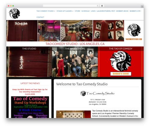 SG Window theme WordPress - taocomedystudio.com