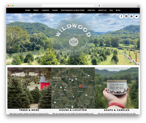 Omnisend WordPress plugin - wildwoodchristmastreefarm.com