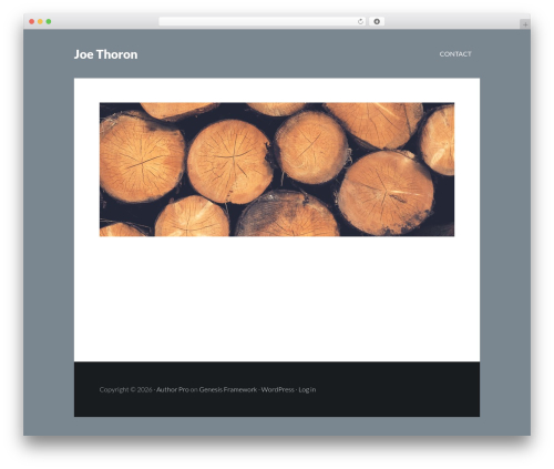 WordPress theme Author Pro - joethoron.com