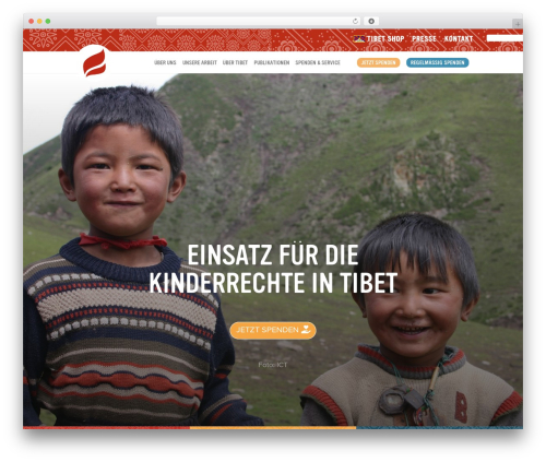 Ds icon expansion pack WordPress plugin - savetibet.de