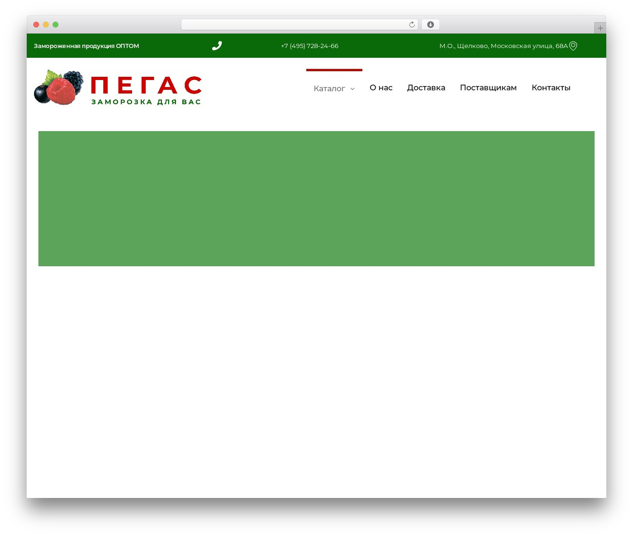 Futurio WordPress theme - ice-pegas.ru