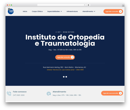 IOT WordPress theme - iotblumenau.com.br