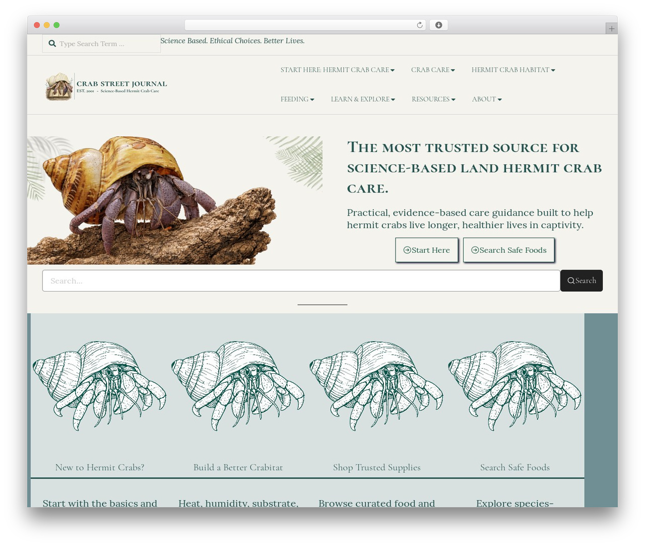 Responsive Brix Premium WP theme - crabstreetjournal.org Responsive Brix Premium WP theme - crabstreetjournal.org