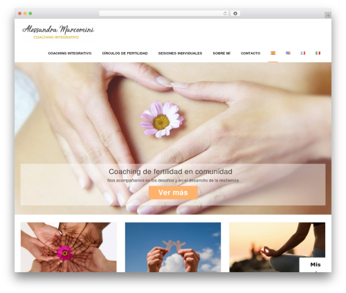 Shuttle top WordPress theme - coachintegrativo.com Shuttle top WordPress theme - coachintegrativo.com