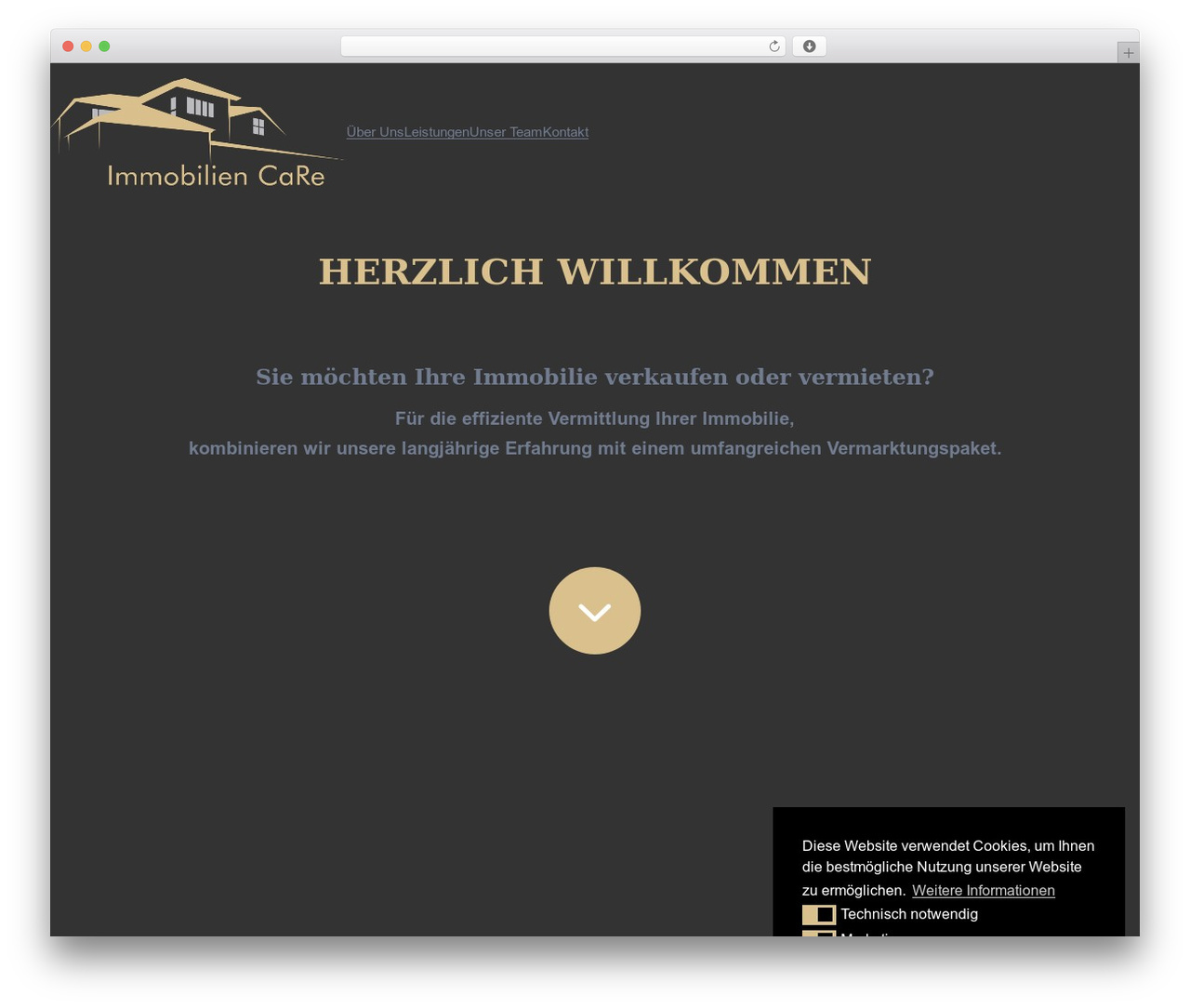 Startupzy theme WordPress - immobiliencare.com Startupzy theme WordPress - immobiliencare.com