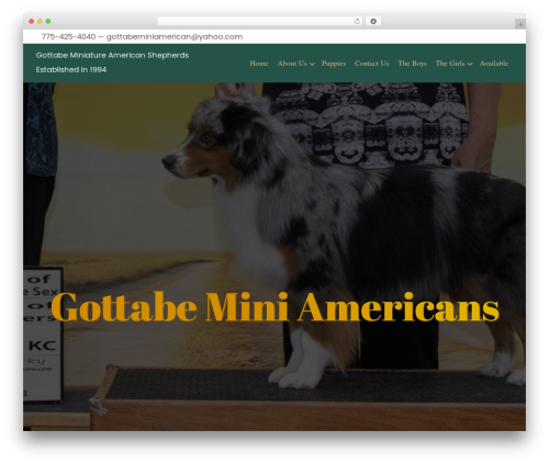 Bb sticky column WordPress plugin - gottabeminiamericans.com