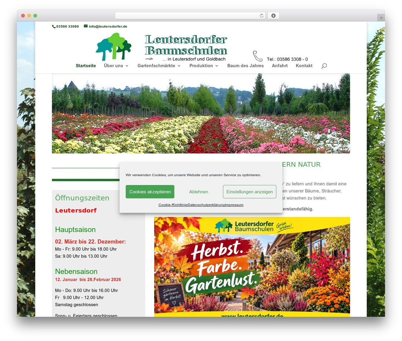Theme WordPress Divi - leutersdorfer-baumschule.de Theme WordPress Divi - leutersdorfer-baumschule.de