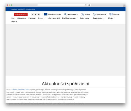 Theme WordPress Divi - bsm.bydgoszcz.pl