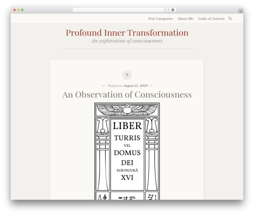 Email newsletter WordPress plugin - profoundtransformation.com