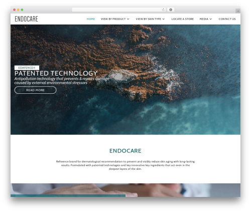 WordPress theme DMN WP STARTER - endocaresa.co.za