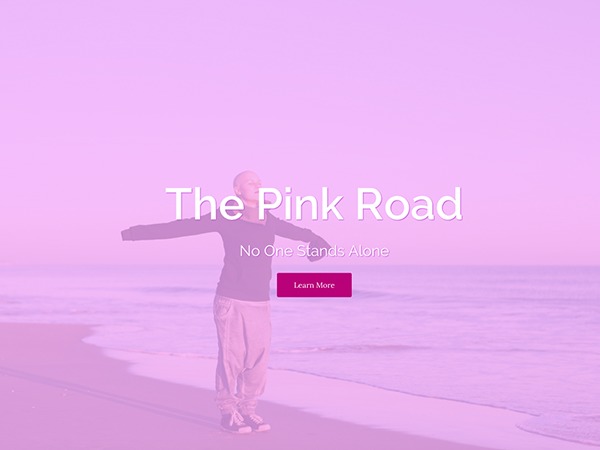 WordPress theme McDevitt by EWD
