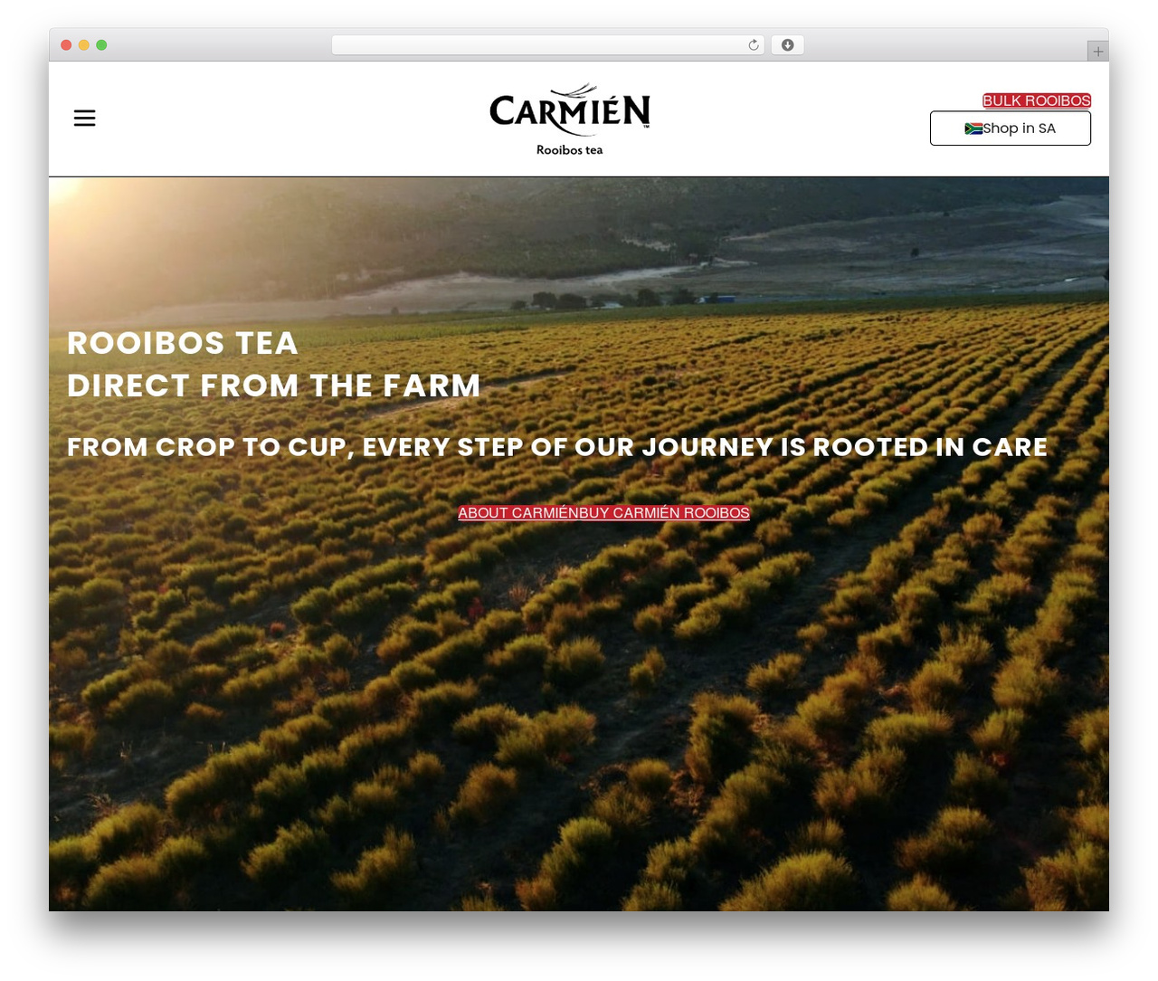 Beaver Builder Theme theme WordPress - carmientea.com