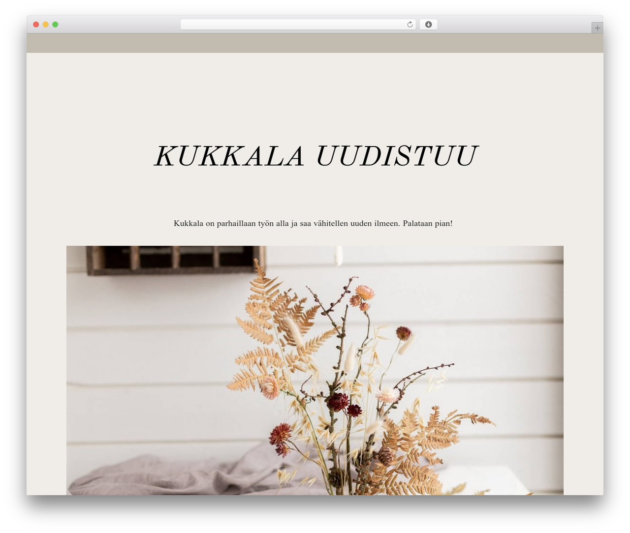 Freyja WordPress theme - kukkala.fi Freyja WordPress theme - kukkala.fi