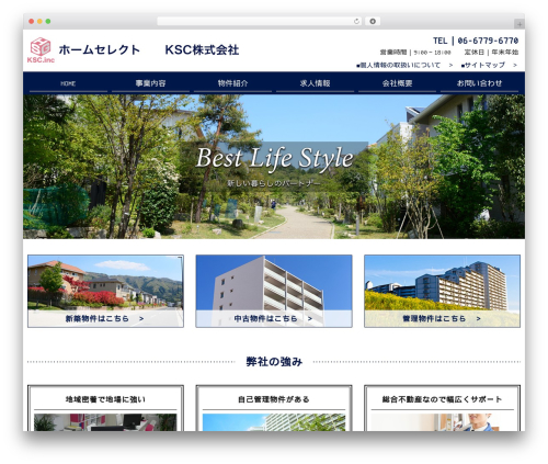 my-theme WordPress website theme - k-sc.info
