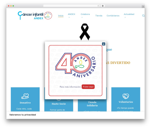 Contact form 7 redsys addon WordPress plugin - andexcancer.es