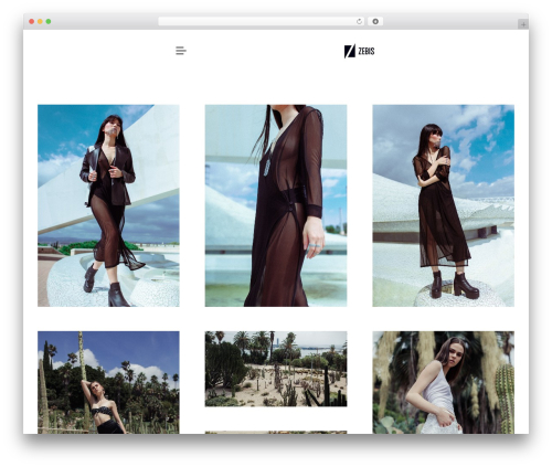 Snapster WordPress theme - zebis.es
