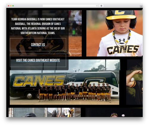 Website Builder by SeedProd — Theme Builder, Landing Page Builder, Coming Soon Page, Maintenance Mode (coming-soon) free WordPress plugin - tgbabaseball.com