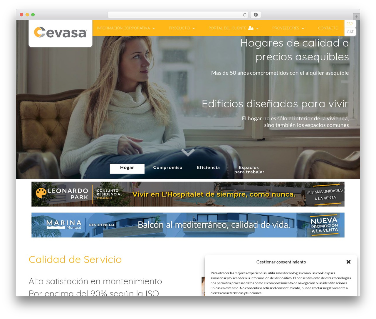 WordPress theme Avada - cevasa.com WordPress theme Avada - cevasa.com