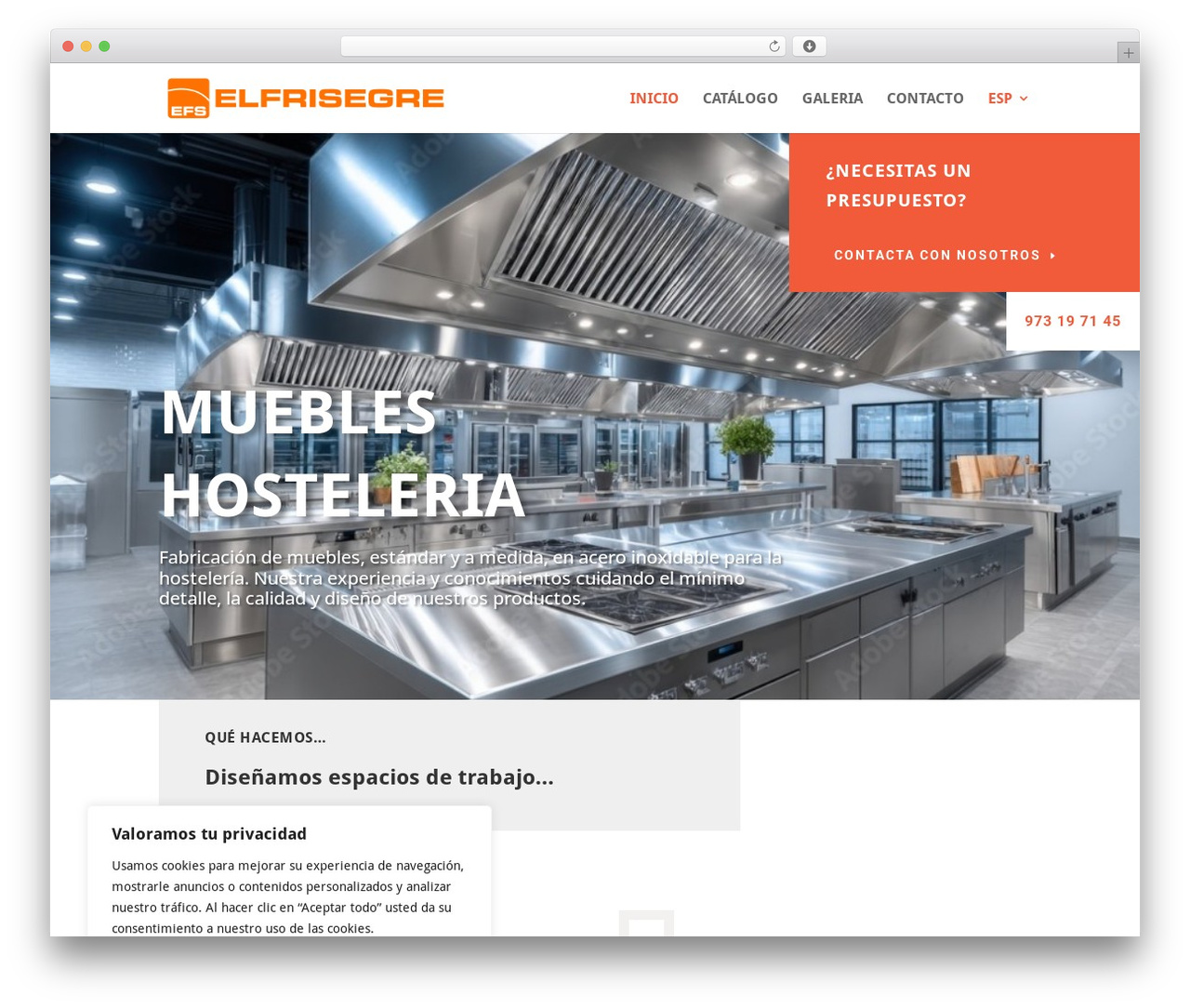 WordPress theme Divi - elfrisegre.com