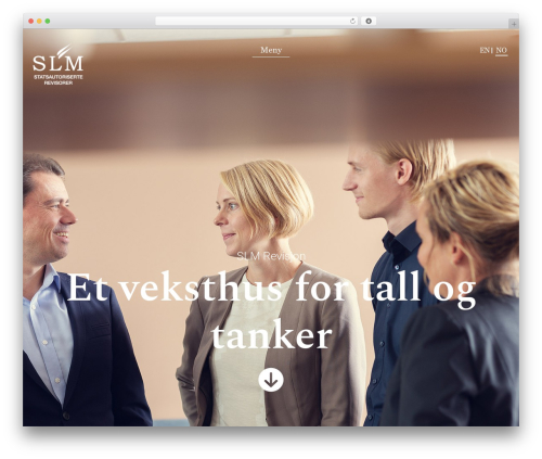 Addons for beaver builder pro WordPress plugin - slm-revisjon.no