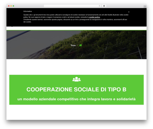 Enviro WordPress theme - marcondiro.com