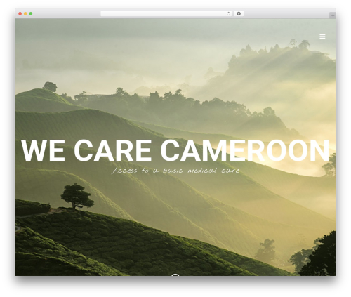 HyperX best WordPress theme - wecarecameroon.com