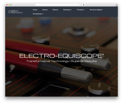 Theme WordPress Pergo - intellbio.com