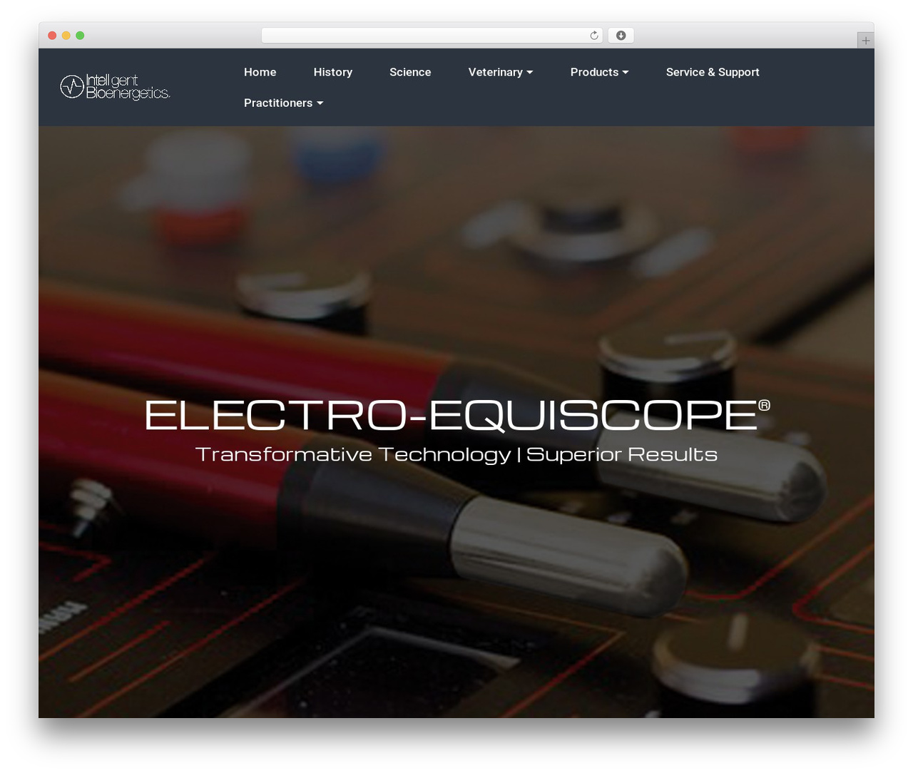 Theme WordPress Pergo - intellbio.com