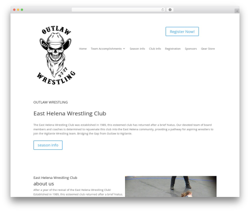 SheetDB – get your Google Spreadsheet data (sheetdb) free WordPress plugin - easthelenawrestling.com
