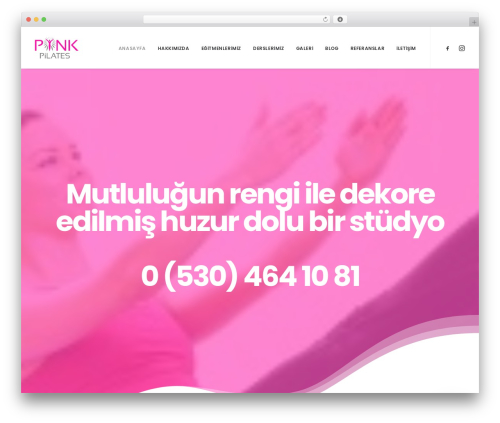Uncode core WordPress plugin - pinkpilates.studio