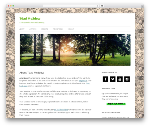 Social Media Icons Widget (spoontalk-social-media-icons-widget) free WordPress plugin - toadmeadow.wang