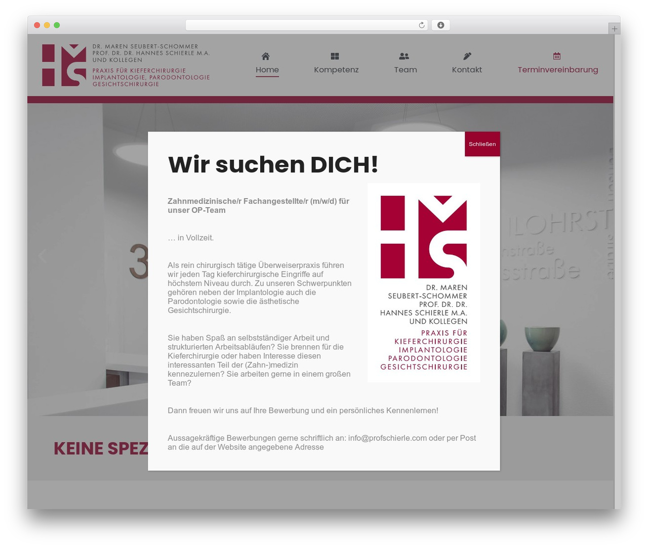 WordPress website theme the7dtchild - profschierle.com
