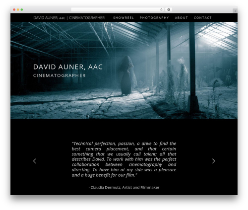 WP theme Cinerama - davidauner.com