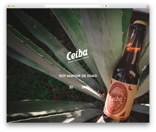 Csshero211 WordPress plugin - cervezaceiba.com