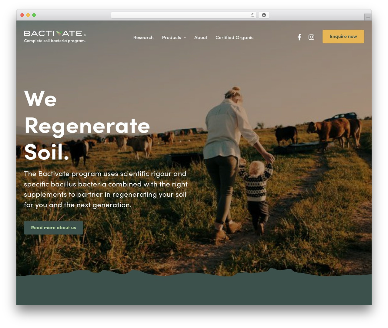 Bactivate company WordPress theme - bactivate.nz Bactivate company WordPress theme - bactivate.nz
