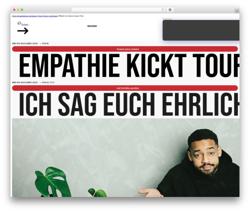Nextbricks WordPress plugin - bruno-banarby.de
