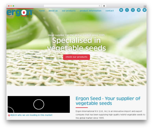 Hello Elementor free WordPress theme - ergonseed.com