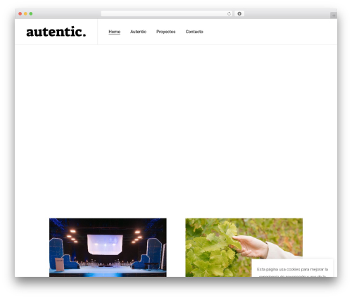 Ozark WordPress theme - autentic.es