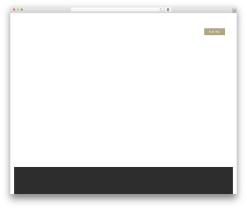 Slider revolution master WordPress plugin - aleksandar-gradnja.rs