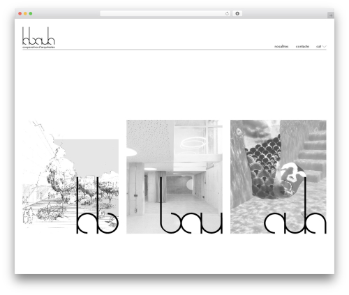 Theme WordPress RWD - labaula.eu